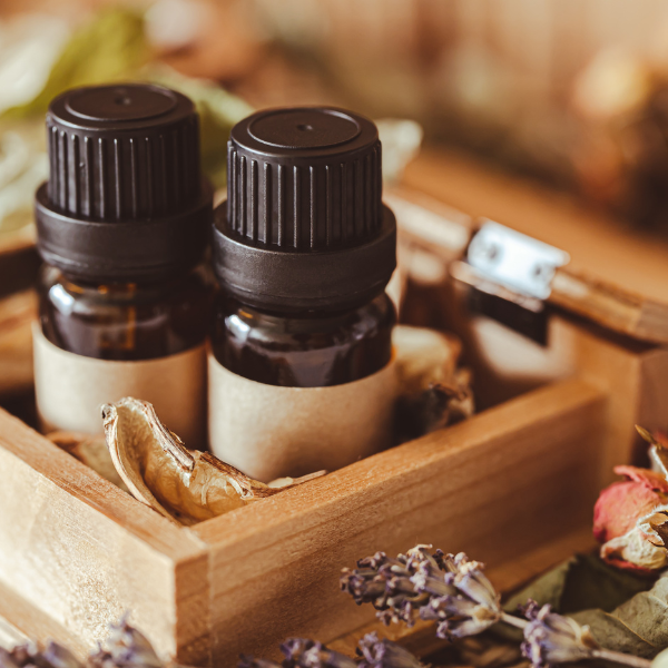 best spa in sector 28, gurgaon, spa in gurgaon, body spa in sector 28, gurgaon